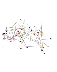 Epingles à étaler pour Lépidoptère