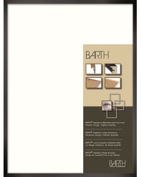 Cadres complets Alu Barth 916