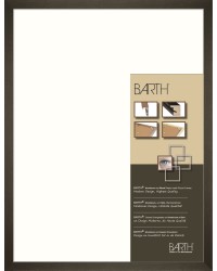 Cadres complets Bois Barth 209