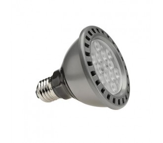 Lampe LED PAR30