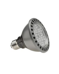 Lampe LED PAR30