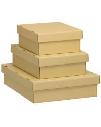 Boîte plate de stockage Qualité Eco