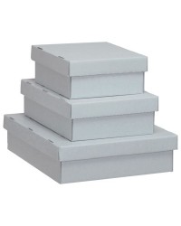 Boîte plate de stockage - Qualité Conservation