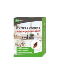 Piège à Blattes