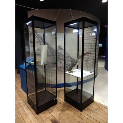 Vitrine Haute FINA