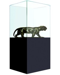 Vitrine Cloche en Verre