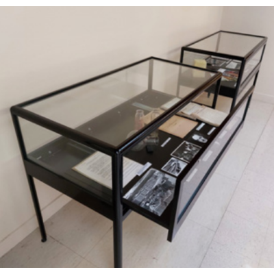 Vitrine Table NOVA