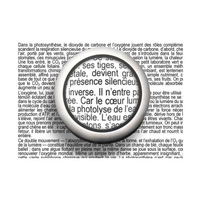 Loupe d'expertise éclairante