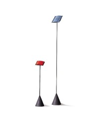 Pied pour Cartel · Vision Enfant